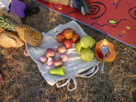Unsere Mahlzeiten Unterwegs. Wir ernährten uns während der gesamten Reise zu ca. 75 % von frischen Früchten und Gemüse.
Nur in den Städten gab es mal eine Mahlzeit am Straßenverkauf.
Ausnahme war Heiligabend in Goa, wo wir üppig in einem Restaurant dinnierten.