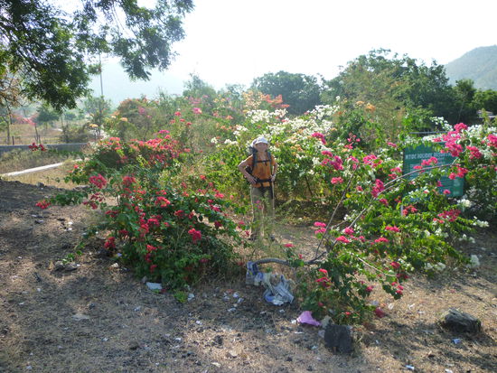 Teile des Weges waren mit herrlich bunten Sträuchern gesäumt.