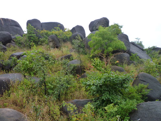 Der Aufstieg auf diesen Hügel wird durch riesige Lavafelsen erschwert.