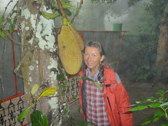 Angelica mit einer Jackfrucht.
