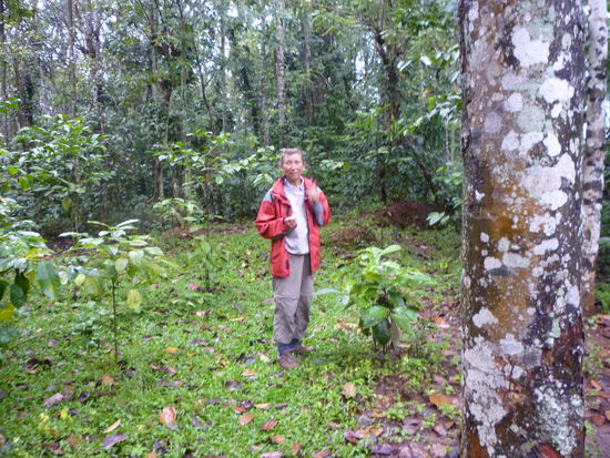 Spaziergang durch den Gartenjungle und anschließend mussten wir uns von gierigen Blutegeln mit konzentriertem Salzwasser befreien.