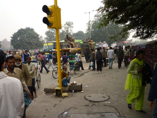 Elefanten ziehen durch die Strassen auf der suche nach Touristen für eine sight seeing tour