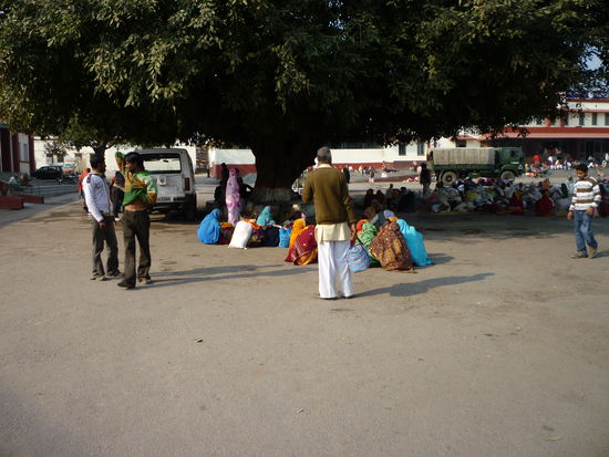 03.02.
Bahnhofsplatz von Rishikesh. Von hier bringt uns  mittags ein Bus nach Haridwar.