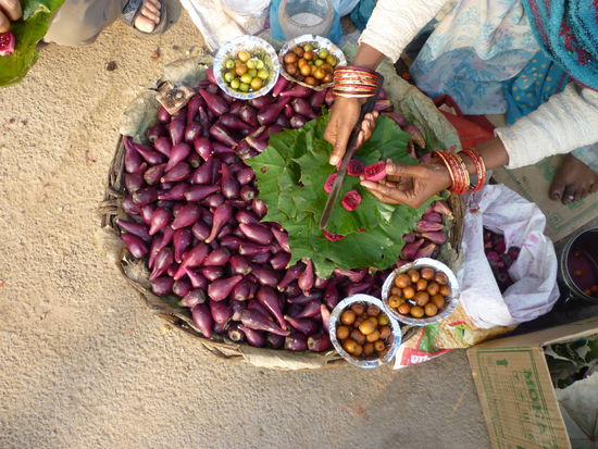 Die Früchte sehen fast wie Kaktusfeigen aus und schmecken auch ähnlich.