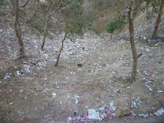 Später werden sie dann von den Brahmanen auf der Rückseite des Hügels entsorgt.