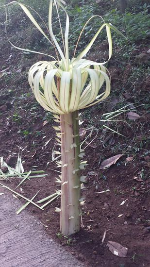 Schmuck am Wegesrand