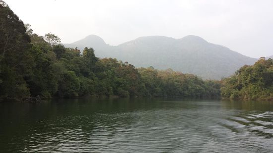 Neyyar Stausee