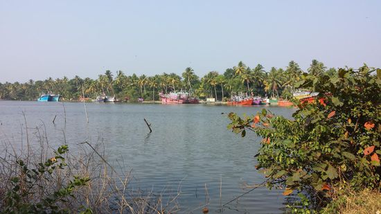 Blick in die Backwaters