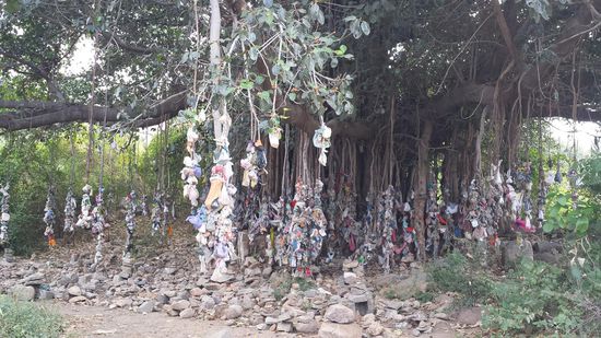 Das ist ein Wunschbaum, wo der Wunsch nach Kindern angebracht wird.