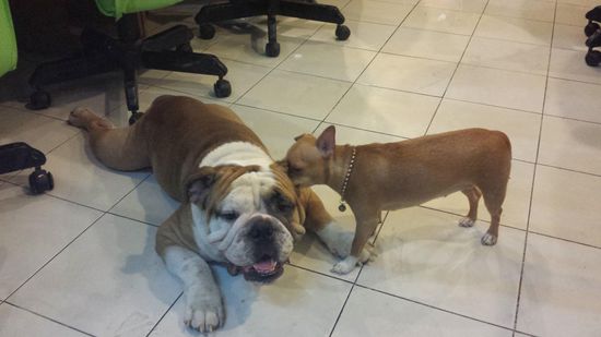 Ein reizendes Paar im Internetcafe. Erst das Ohr und dann das Auge gereinigt.