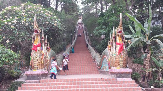 Aufstieg zum Tempel Doi Suthep