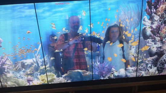 06.04. sind wir morgens im Airport Bangkok.
Mittags geht der Flug nach Dehli.