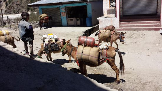 5 Km weiter fand ich in Dharali ein Zimmer.