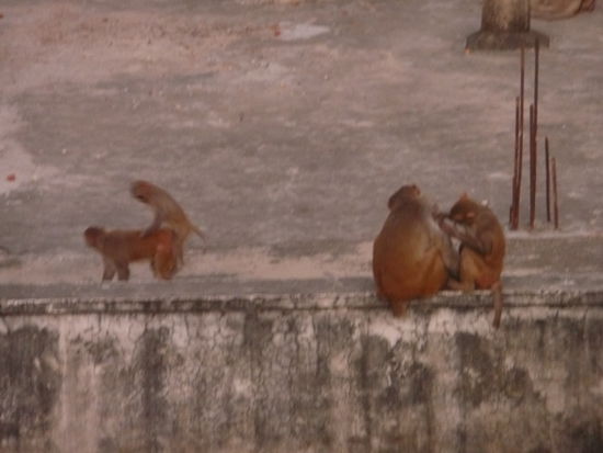 ... und mal wieder nur Blödsinn im Kopf  