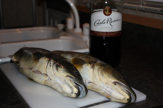 Köder: Frühstücksspeck ...
Zum Glück ist das Tiefkühlfach groß genug!!!