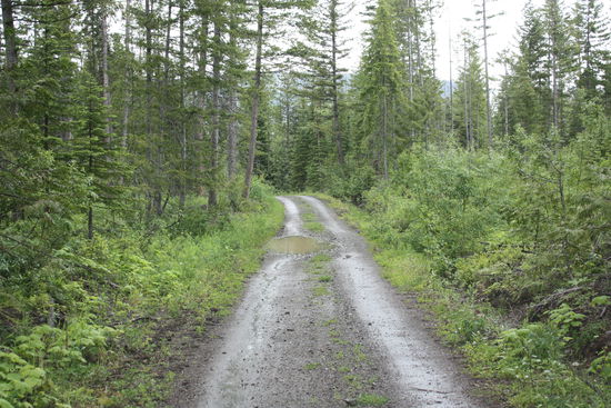 Schlaglochpiste zum Cedars Dam Lake  