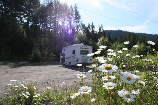 ... mit ein paar Blumen im Vordergrund wirkt´s doch gleich schöner  