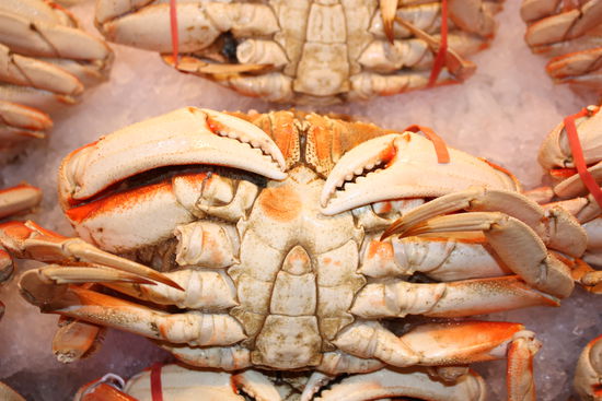 ... und furchterregende Kreaturen aber bald allesamt auf unserem Teller, hrrrrlch 