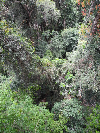 Gannnnz schön hoch!!!