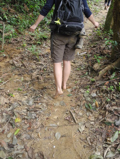 Bloss auf nichts drauf treten!