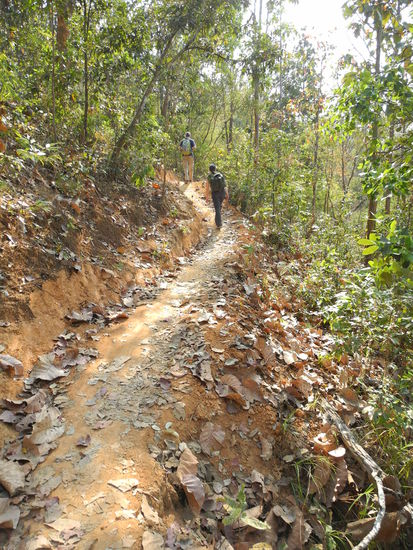 Und wieder ging es hoch...