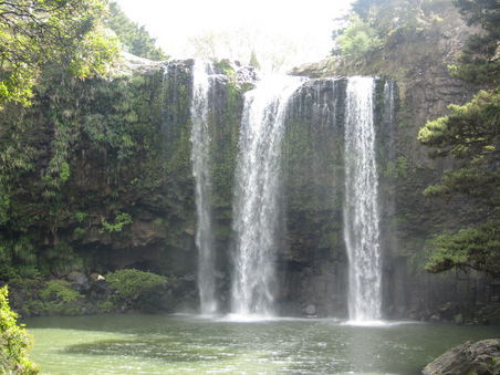 Whangarei Falls - das Wasser kommt immer von oben nach unten...