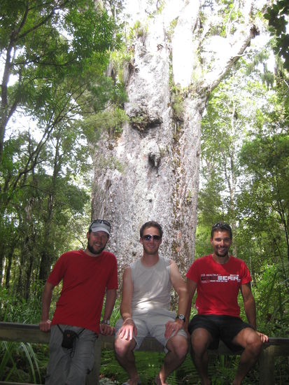 Die drei Muskeltiere vor dem Riesen...