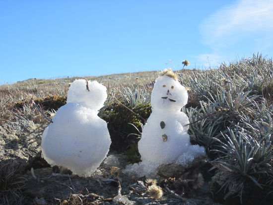 Snowman and Snowgirls...