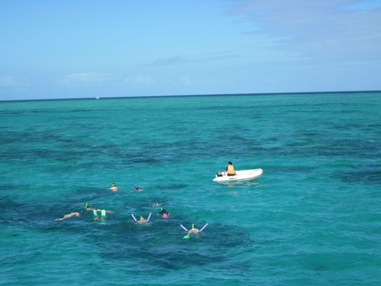 Snorkling with the noudle...