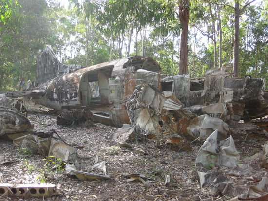 Flugzeug-Wrack mitten im Dschungel