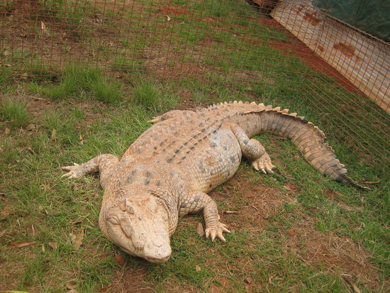 Be careful, very dangerous - They bite you in your ass...