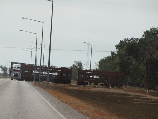 Wir haben den Flug leider verpasst und sind per Road-Train nach Darwin gereist... 