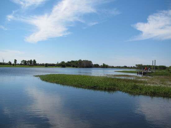 Der Yellow Water Billabong