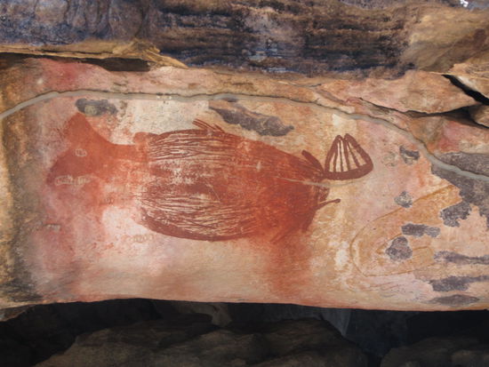 ist das ein Dingo oder ein Kangeroo?