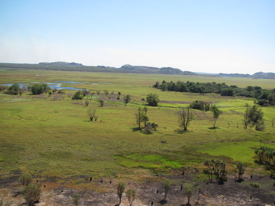 Blick ueber den Kakadu Nationalpark