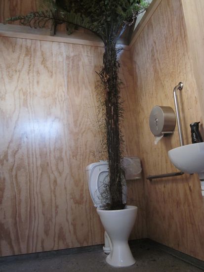 Schnellwachsende Urwaldpflanze - dieser Vandalismus  (nicht durch uns verursacht!!!)