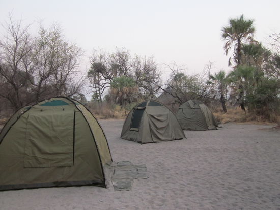 Die erste Nacht wurden wir schon auf Probe gestellt, die Zelte wurden im Dunkeln mit Stirnlampen aufgestellt. Die Aussicht am naechsten Morgen, wir haben unseren Job gut gemacht.