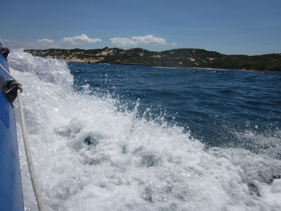 Die Fahrt war sehr rasant, das Wasser ein wenig salzig...