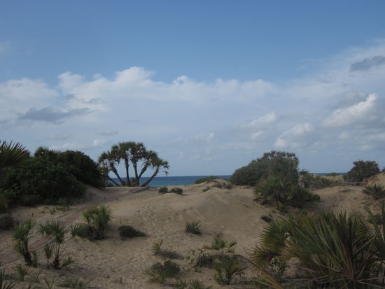 Herrliche Aussicht von der Veranda.