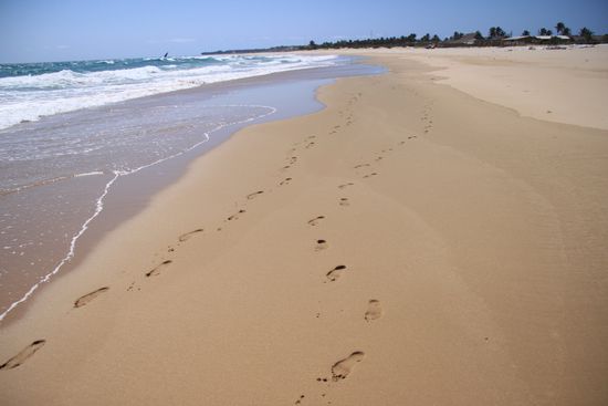 Spuren entlang des Strandes
