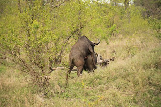 ja, es ist wohl immer noch Frühling 