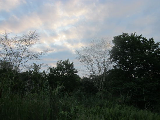 Ausblick auf dem Spaziergang.