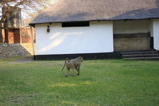 der wohl aus Klo muss (Dieses Haus ist die Toilettenanlage)