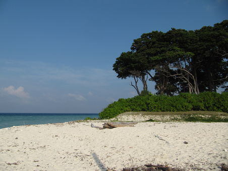 Neil Island: Beach 1 (Sunset Beach)
Nächstes Jahr werden die Bäume abgeholzt und ein Inselmogul baut dort eine Straße bis zum Strand, an dem dann die fusslahmen Touris sich einen Snack am Kiosk kaufen können.
