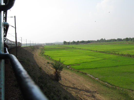 ...und dann doch wieder grüne Reisfelder.