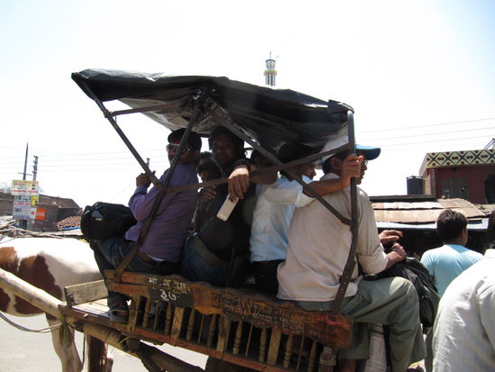 Da passen schon noch ein paar Leute und Reissäcke drauf! Auf der Kutsche waren dann 14 Menschen.
