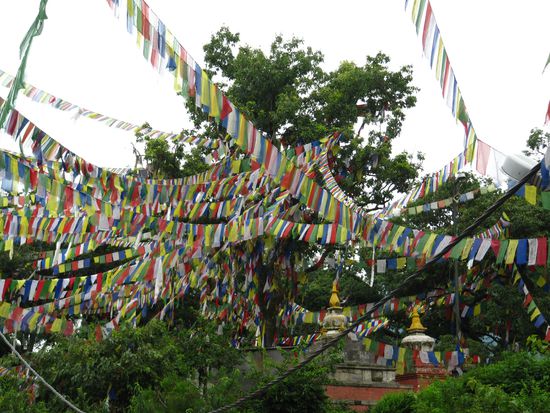 Viele Gebetsflaggen, die die buddhistischen Gebete und Wünsche zum Frieden über alle Landschaften und Meere verteilen sollen.