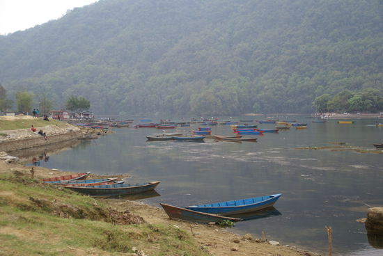 Der See von Pokhara