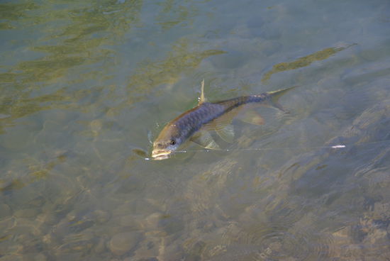 ...der Wiederstand am anderen Ende!! 