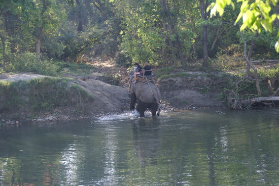 Ein anderer Elefant mit Touristen